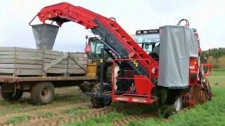 Dewulf P3K Profi - 1-row mounted top lifing harvester with elevator