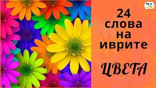 24 слова на иврите  Цвета на иврите  Как выучить иврит: ЦВЕТА  Изучение иврита