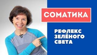 #8 Соматика Томаса Ханны. Рефлекс зеленого света.