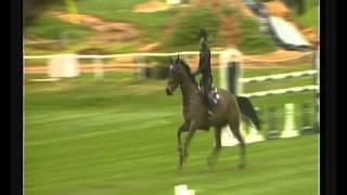 Arctic Ice `Sporthorses from Holland` FOR SALE peter bulthuis