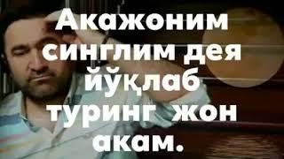 АКА СИНГИЛ ШЕР ЭШИТИБ ЙИГЛАЙСИЗ