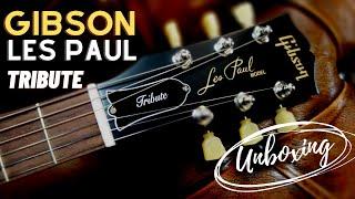 Gibson Les Paul Tribute UNBOXING #Gibsonusa #GibsonLesPaul #Gibsonlespautribute