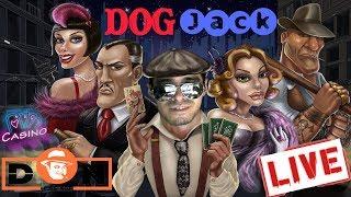 стрим казино ловим занос казино бонус dog jack