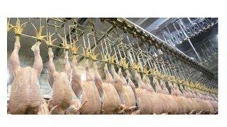 Chlorine-washed chicken Q&A: food safety expert explains why US poultry is banned in the EU