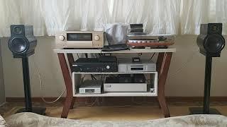 Accuphase E460 e Elac bs314