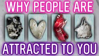 Why People Are Attracted to You 🩷 {PICK A CARD} ️ Timeless Tarot Reading