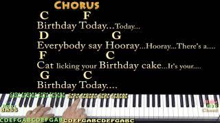There's A Cat Licking Your Birthday Cake - Piano Cover Lesson with Chords/Lyrics - T-RL
