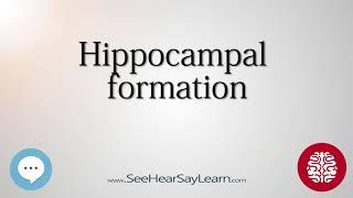 Hippocampal formation   Anatomy of the Brain   SeeHearSayLearn 