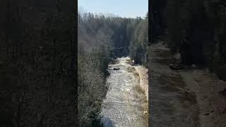 Man doing tricks on a tight rope across the Elora Gorge