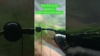 Most Productive all season Fly!