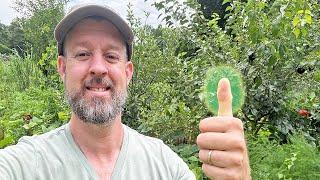 THIS IS THE TIME TO PRUNE!