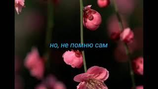 ️ Сергей Завьялов - я по жизни зарекался ️