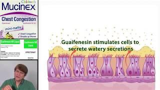 Expectorants: Guaifenesin
