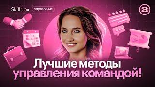 Как правильно управлять проектом? Методы управления командой, которые вы должны знать!