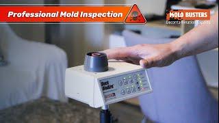 Professional Mold Inspection A to Z ‍ - Mold Busters