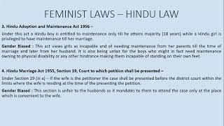 Feminist Laws