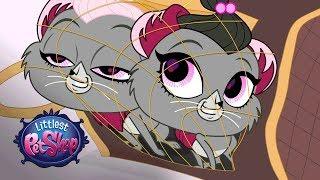 Littlest Pet Shop Season 3 - 'Twin Chinchillas, Cashmere and Velvet' Official Clip