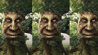 WISE MYSTICAL TREE MEME COMPILATION