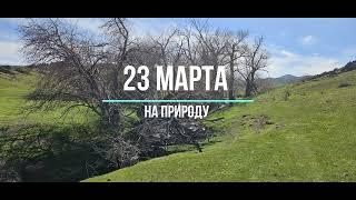 Выезд на природу - часть 1 #тараз #taraz