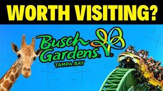 Busch Gardens Tampa Review & Must-Know Tips! Is It Worth Visiting?