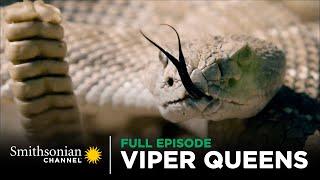 Viper Queens  Bad Attitudes & Long Fangs  FULL EPISODE | Smithsonian Channel