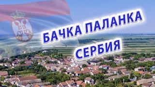 ГДЕ ЖИТЬ В СЕРБИИ ?/ Бачка Паланка Города Сербии Сколько стоит Недвижимость