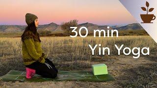 30 min Yin Yoga | Flexibility for the Back, Shoulders, Hips & Feet