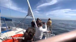 Captain Dave’s Whale Watching  Dana Point April 6, 2023