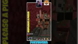 Minecraft - Baby Piglin Stole my Life