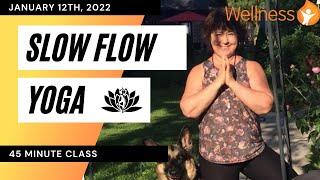 Slow Flow Yoga with Norma - January 12th, 2022