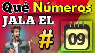 Qué  Números JALA el 09 -Descubre qué NÚMEROS atrae el número 09