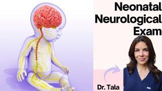 How to perform the NEURO exam on a baby// Head-to-Toe CNS evaluation!