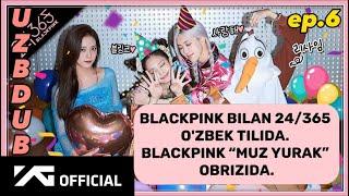 BLACKPINK bilan 24/365 ep.6 o'zbek tilida [uzb dub] Mavzu: Blackpink “Muz yurak” obrizida.