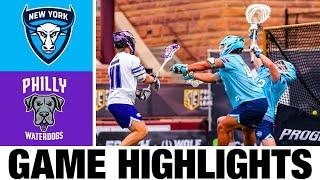 New York Atlas vs Philadelphia Waterdogs Highlights | 2024 Premier Lacrosse League