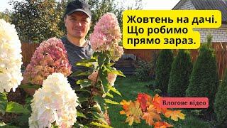 Що робимо на дачі прямо зараз. Влогове відео за життя на дачі.