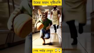 টমের মহান দৃষ্টিভঙ্গি || Tom's Great Vision || Bengali story || cat video | #cartoon #cat #catrescue