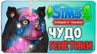 ЧУДО ГЕНЕТИКИ, УГАРНЫЕ СОБАКЕНЫ - The Sims 4 "Кошки и Собаки"