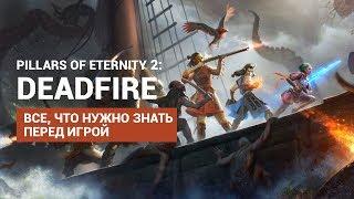 Что нужно знать о Pillars of Eternity 2 Deadfire