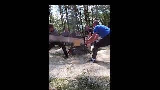 Fast lumberjacks sawing wood