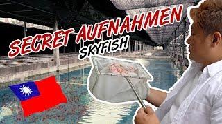 Skyfish Secret Insights | Die größte Outdoor Shrimpfarm der Welt 