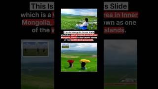 Best Grassland In The World  | #facts #information #shorts