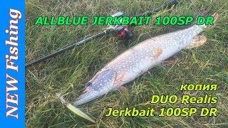 Рабочая копия дипового воблера DUO Realis Jerkbait 100SP DR от ALLBLUE.