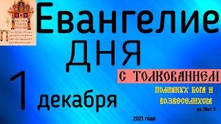 Евангелие дня с толкованием 1 декабря 2021 года