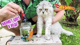 ЭКСКЛЮЗИВНЫЕ ТАЧКИ МЕНЯЮТ ЦВЕТ В ВОДЕ! КОТ КЕВИН И БИЛЛИ РАСПАКОВЫВАЮТ ИГРУШКИ