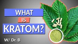 What is Kratom? | Complete Drug History and Uses | W/ Dr. B