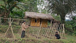 The homeless boy and the poor girl cut down trees to make a bean garden-Homless boy