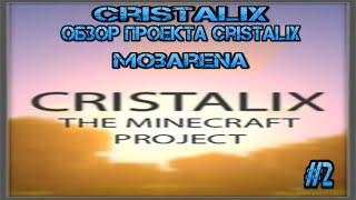 Обзор проекта cristalix #2