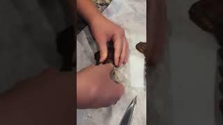 BUTTERFLYING A LOBSTER TAIL #food #chef #cooking #kitchenhacks #hacks #kitchenskills #learn #howto