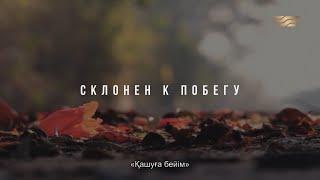 «За что я люблю Казахстан и казахстанцев». Склонен к побегу