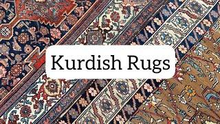 Kurdish Rugs in Chicago | Tribal Rugs for Your Home #orientalrugs #persianrugs #kurdish #ruglove